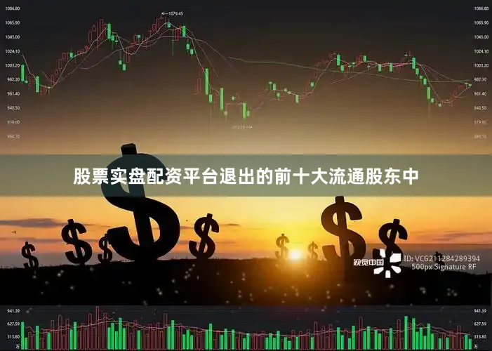 股票实盘配资平台退出的前十大流通股东中