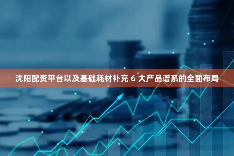 沈阳配资平台以及基础耗材补充 6 大产品谱系的全面布局